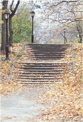 Herbststimmung im Central Park