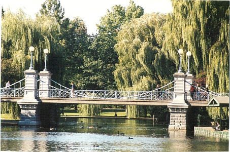 Boston Park