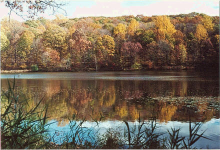 Rockefeller State Park