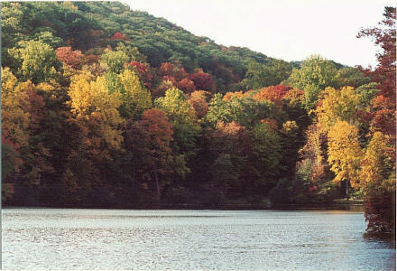 Bear Mountain