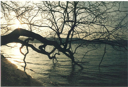 Sunset on the Hudson