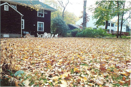 Die Schattenseiten des Herbstes