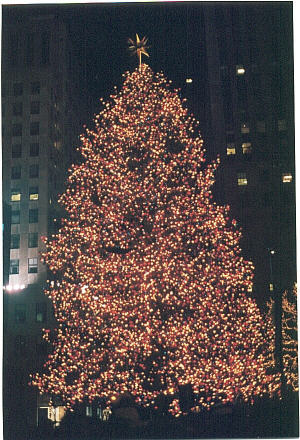The Christmas Tree 2001
