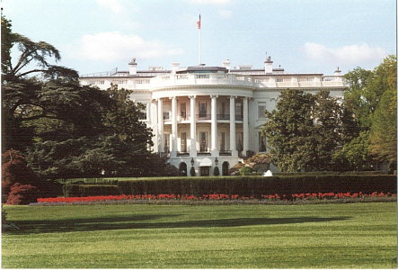 Whitehouse back