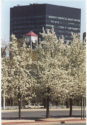 White Plains Hauptbahnhof
